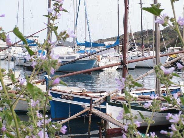 B&B La Reale Stintino Zewnętrze zdjęcie